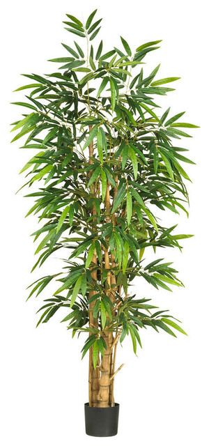 6' Belly Bamboo Silk Tree