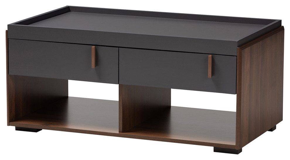 Dolores Contemporary TwoTone Gray and Walnut 2Drawer Coffee Table