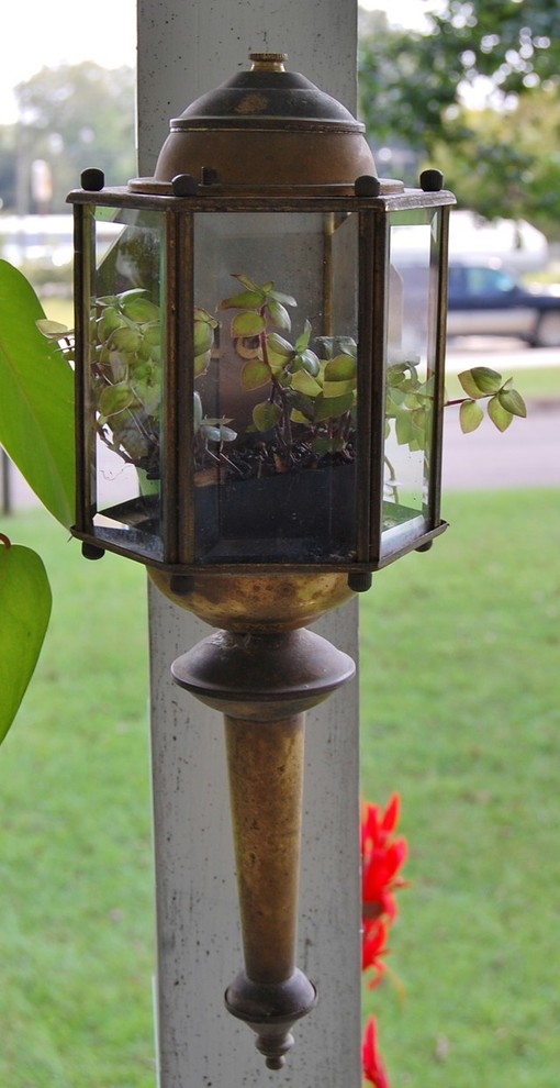 Repurposed light fixture, now planter