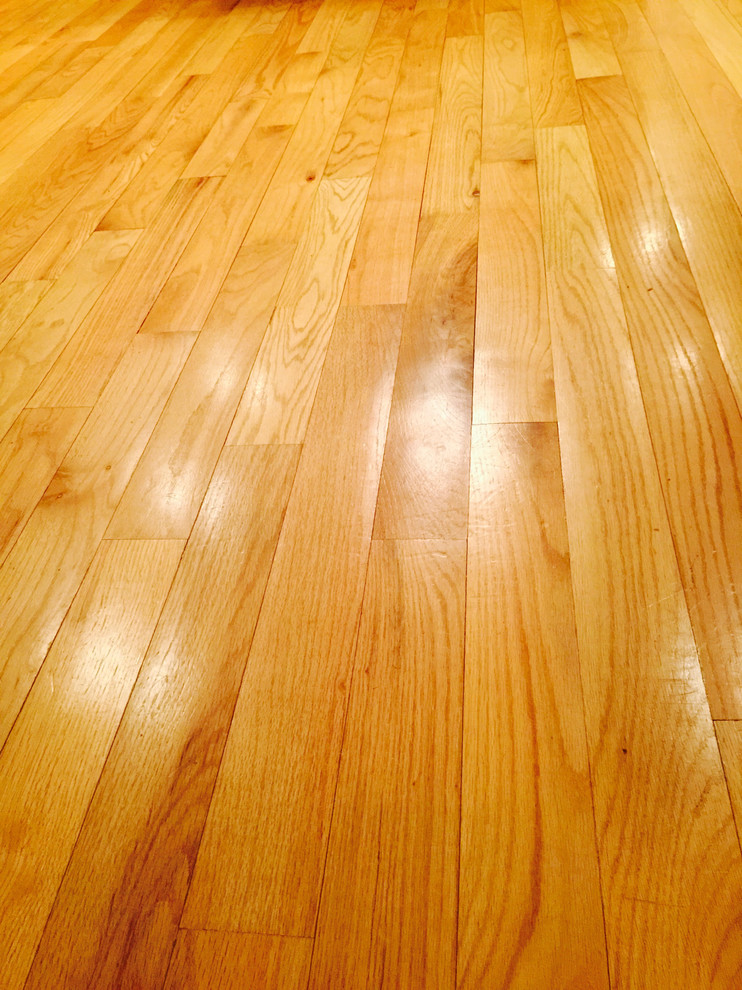 Cupped hardwood floors