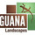 Iguana Landscapes