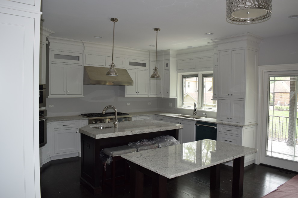 Kitchen - transitional kitchen idea in Chicago