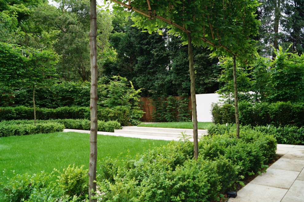 Пример оригинального дизайна: большой регулярный сад на заднем дворе в современном стиле с полуденной тенью