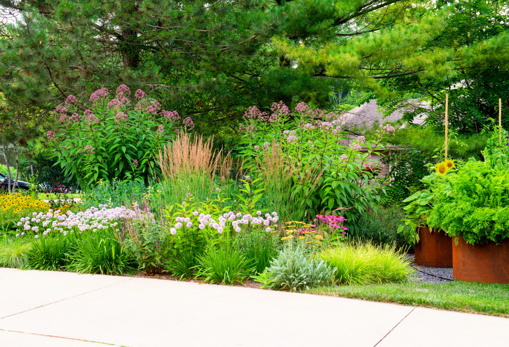 Großer Moderner Vorgarten im Sommer mit Blumenbeet und direkter Sonneneinstrahlung in Milwaukee