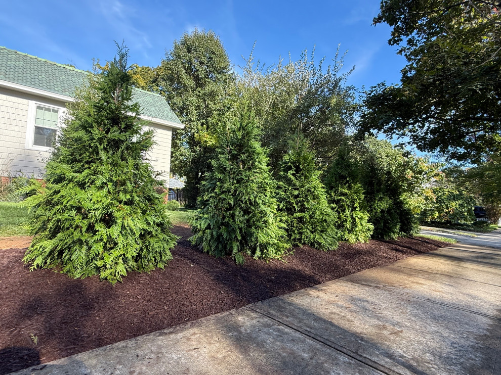 Planting Design