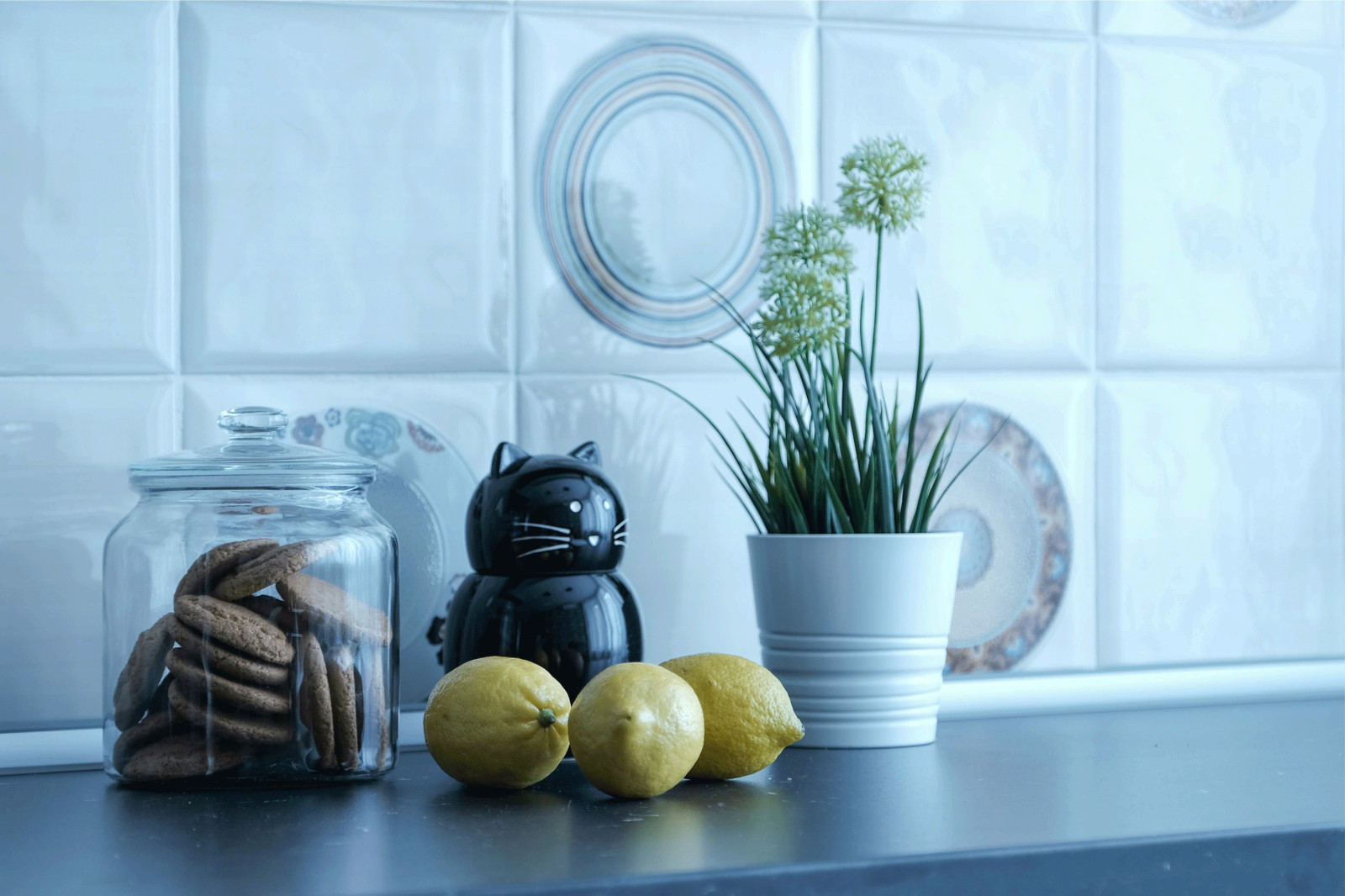 Двухкомнатная квартира для молодой девушки