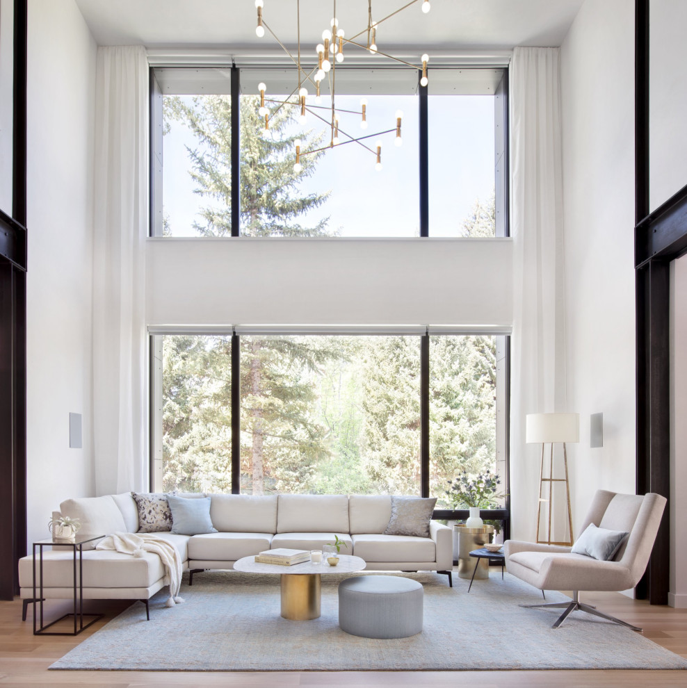 Inspiration för mellanstora moderna separata vardagsrum, med ett finrum, vita väggar och mellanmörkt trägolv