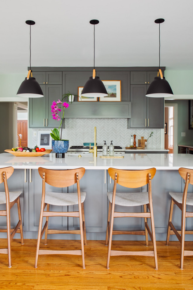 Inspiration for a transitional home design remodel in Chicago