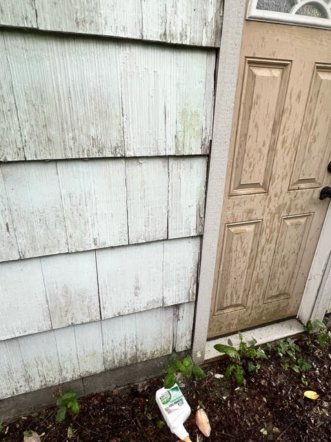 Exterior House Painting