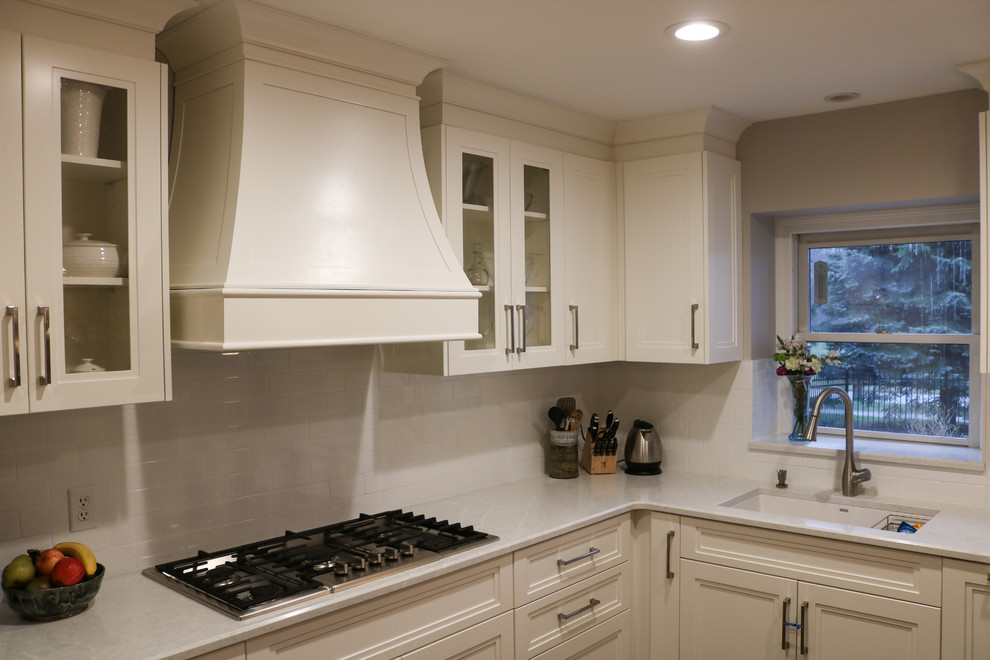 Kitchen - transitional kitchen idea in Toronto