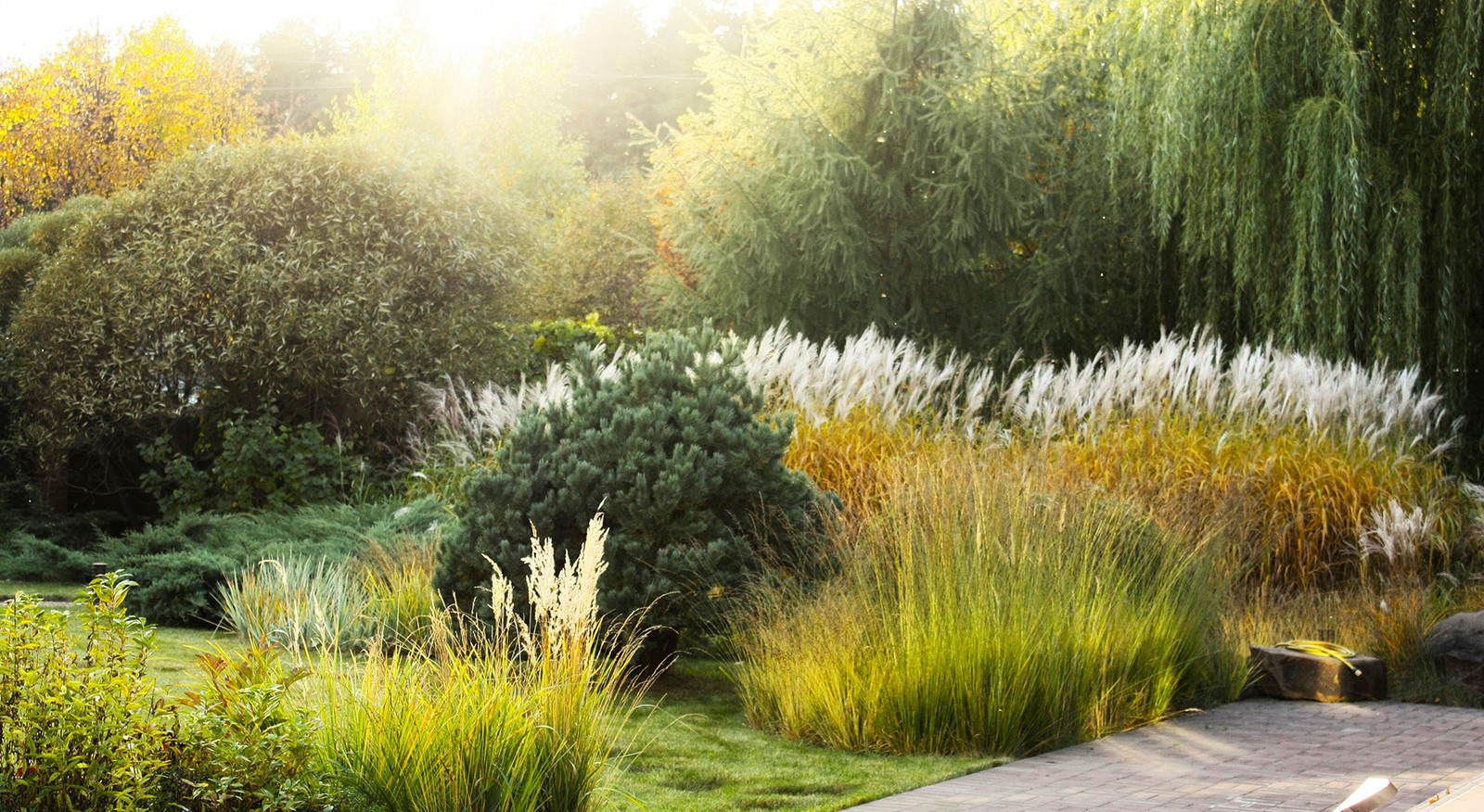 Дизайн участка с цветниками и злаковыми травами - прошло 10 лет.