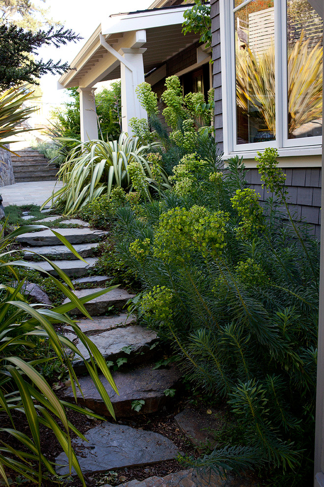 San Anselmo Hillside Traditional Landscape San Francisco By Pedersen Associates