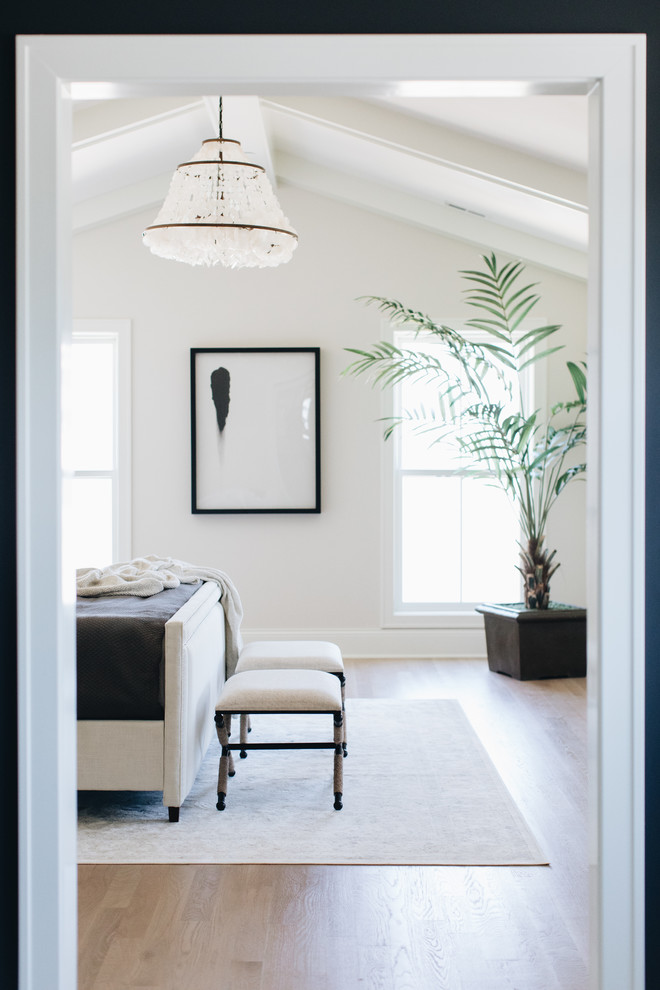 Home design - transitional home design idea in Chicago