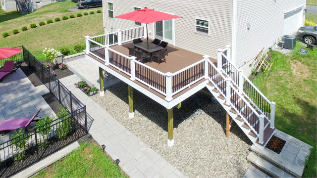 Staycation Backyard contemporary-terrace