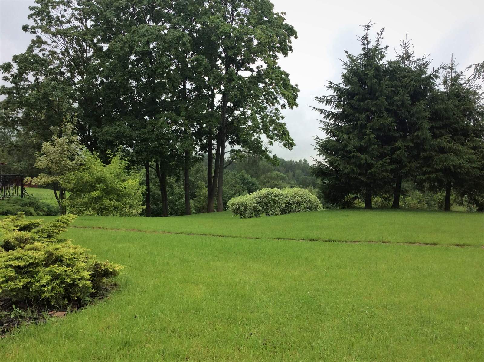 ЖИТЬ СВОБОДНО