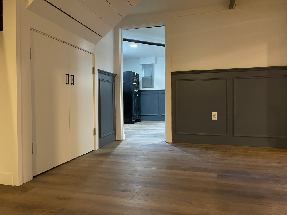 Basement Remodel
