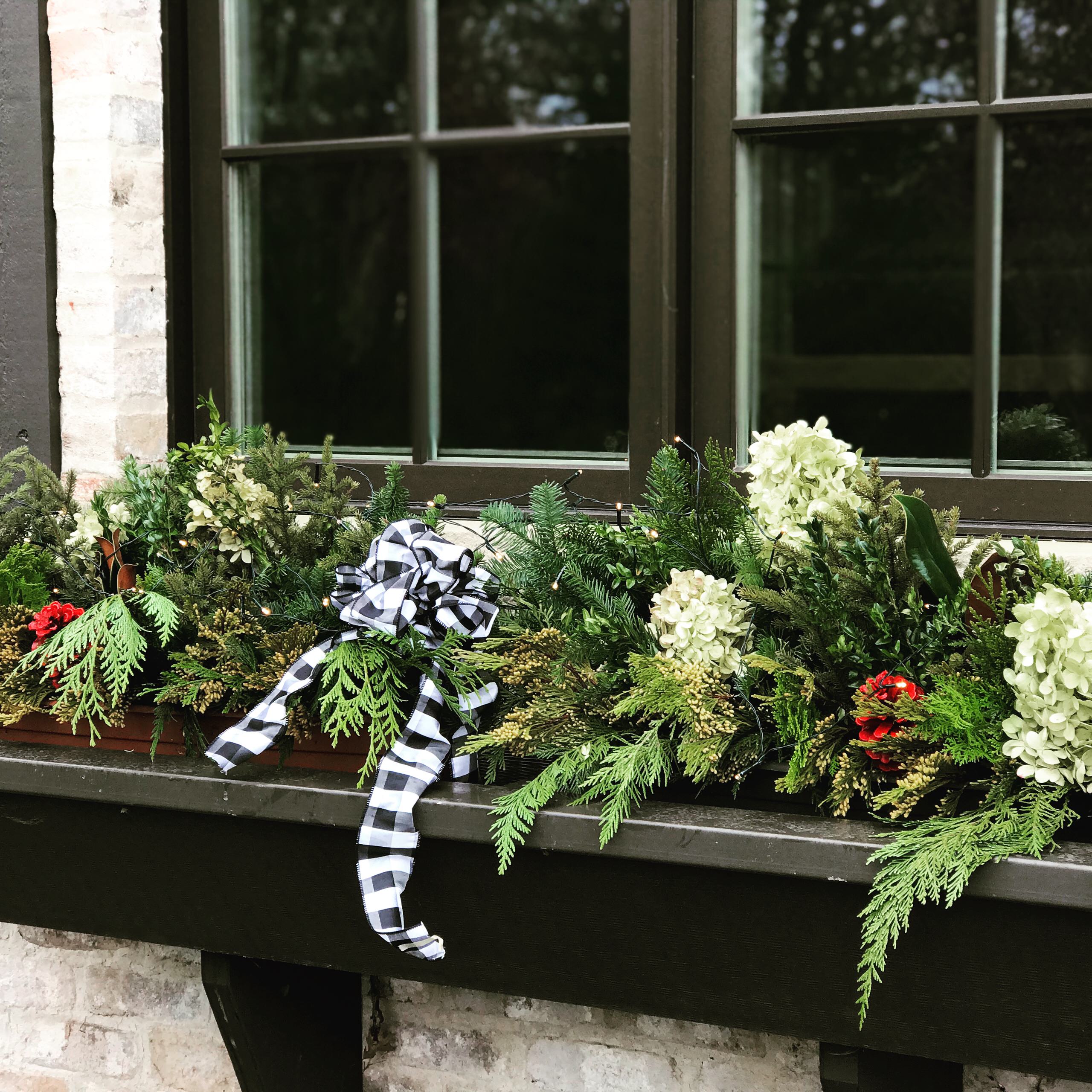 Winter containers and Holiday Decorations