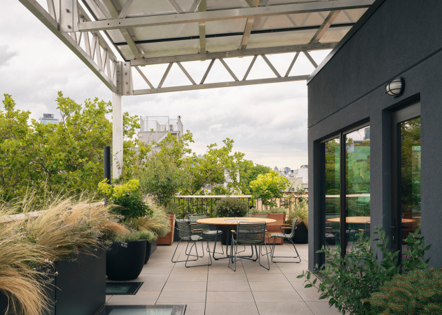 The Java Haus contemporaneo