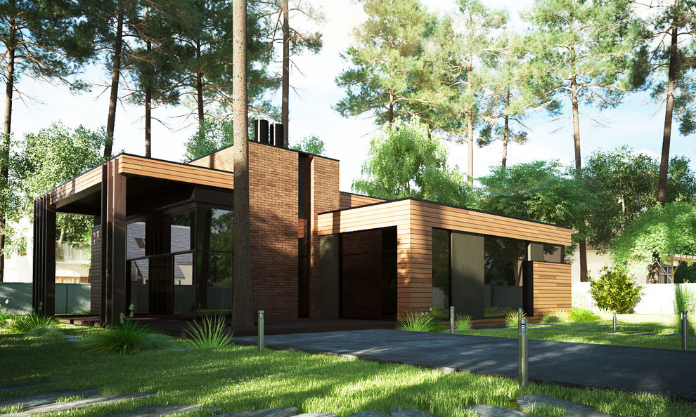 Визуализация дома г.Санкт-Петербург