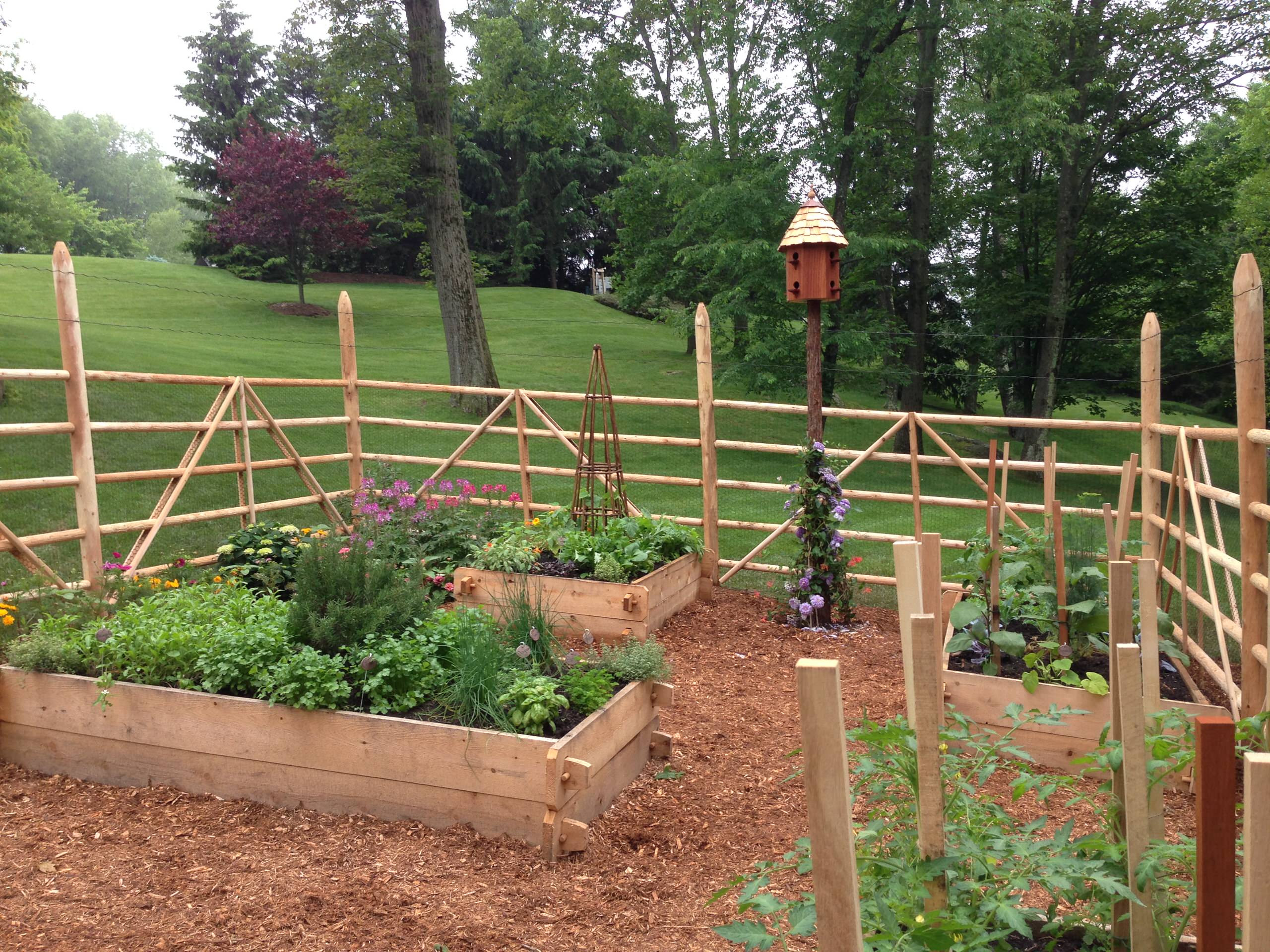 The new Vegetable Garden by Peter Atkins and Associates