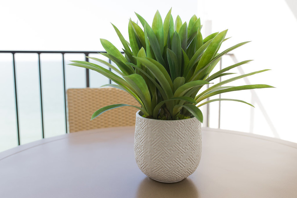 Inspiration for a small transitional patio remodel in Miami