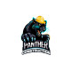 Panther Construction