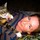 rebecca_hindman