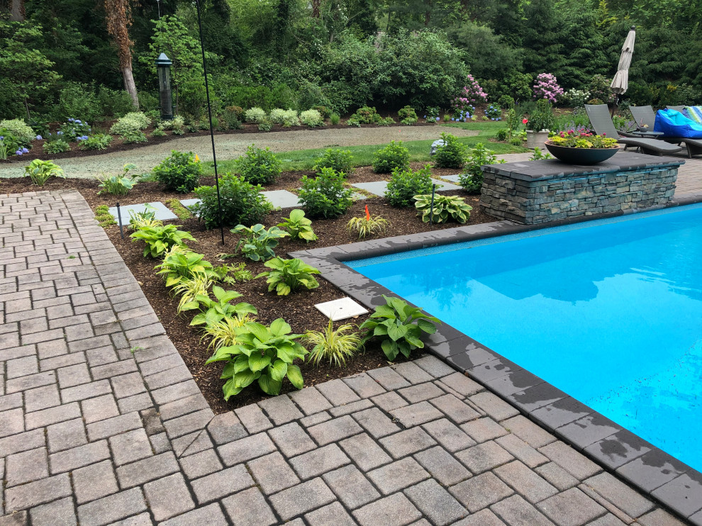 Residential Backyard Pool and Woodland Border Planting Design