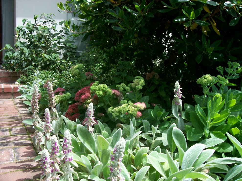 Photo of an eclectic garden in Los Angeles.