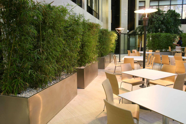 Large Courtyard Dining Area uteplats