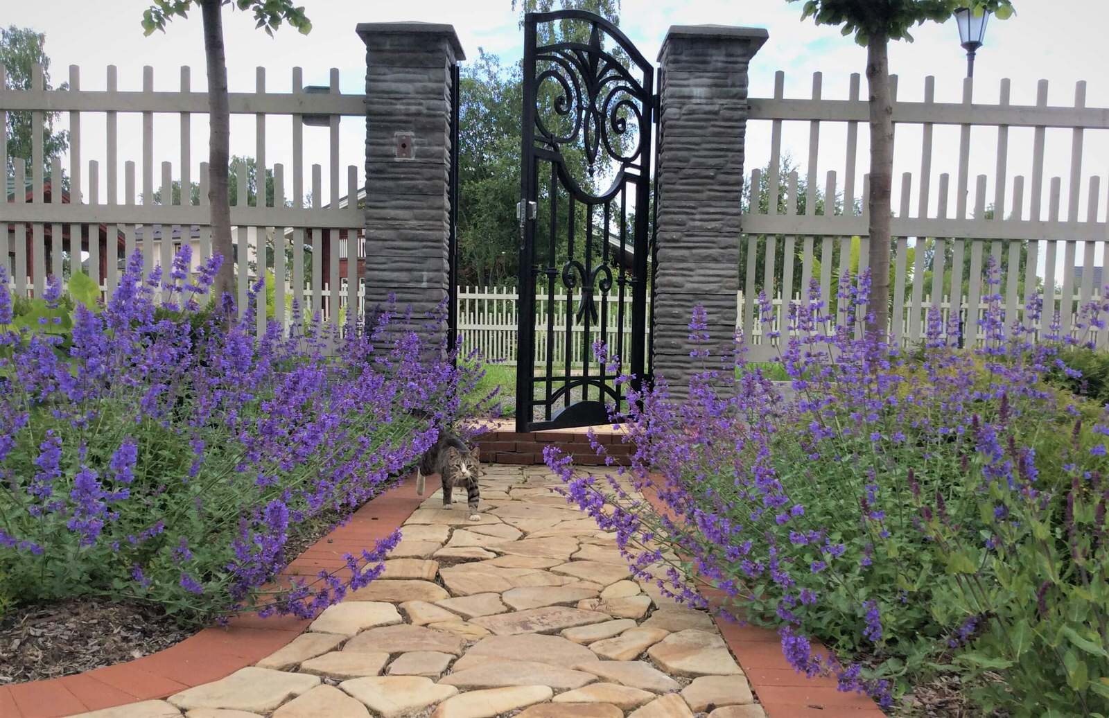 ПОЛЕТ ШМЕЛЯ