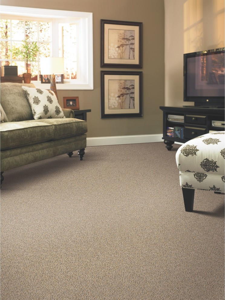 Example of a transitional home design design in Minneapolis