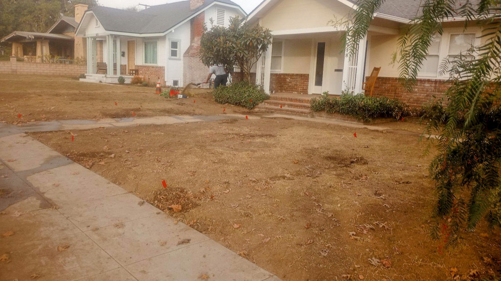 Front and Back Yard Renovation