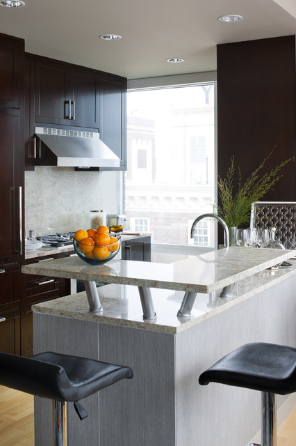 Contemporary Kitchen trendy-koekken
