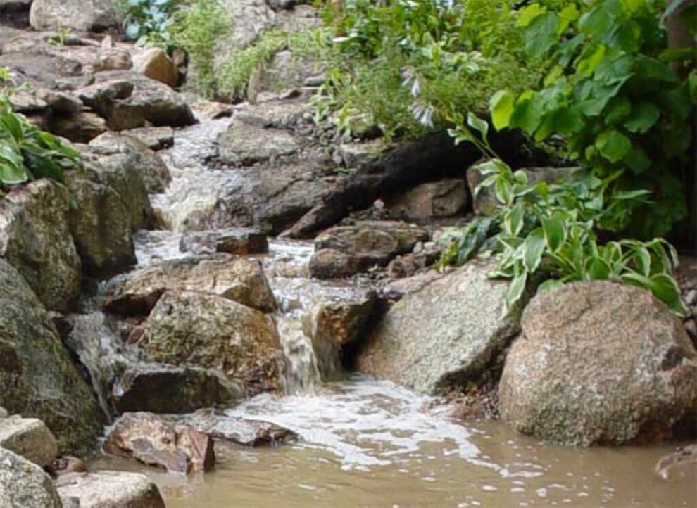 This is an example of a huge rustic partial sun backyard mulch pond for summer.