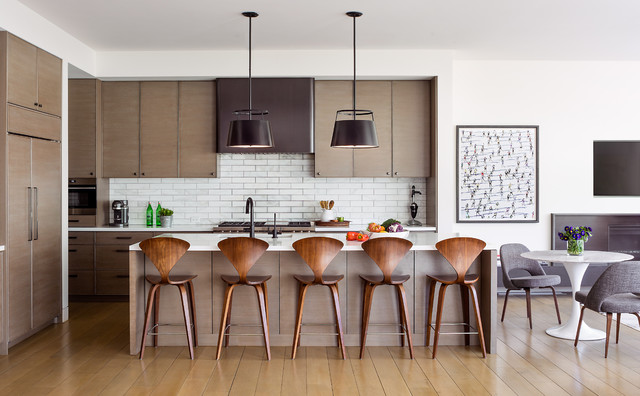 Snowbunny contemporary-kitchen