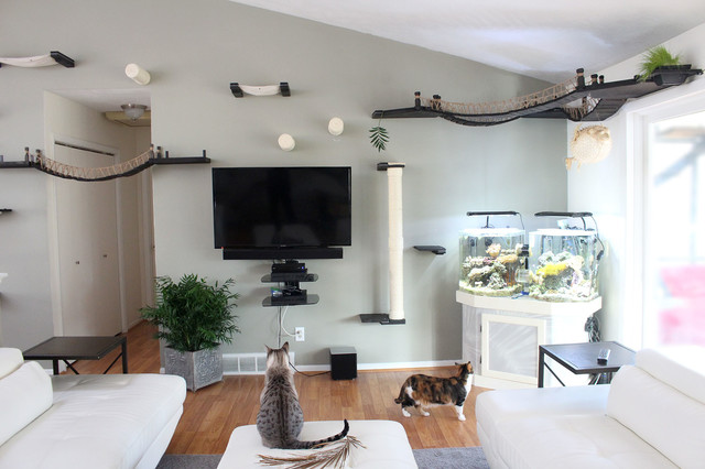 cat living room