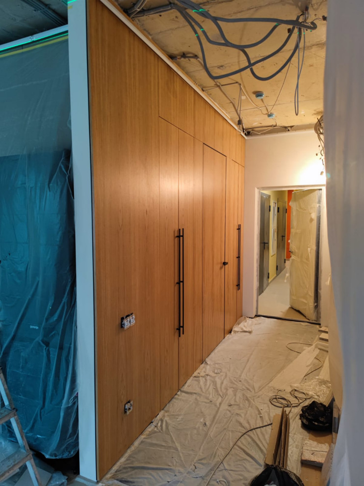 Интегрированная мебель и дверь в прихожей