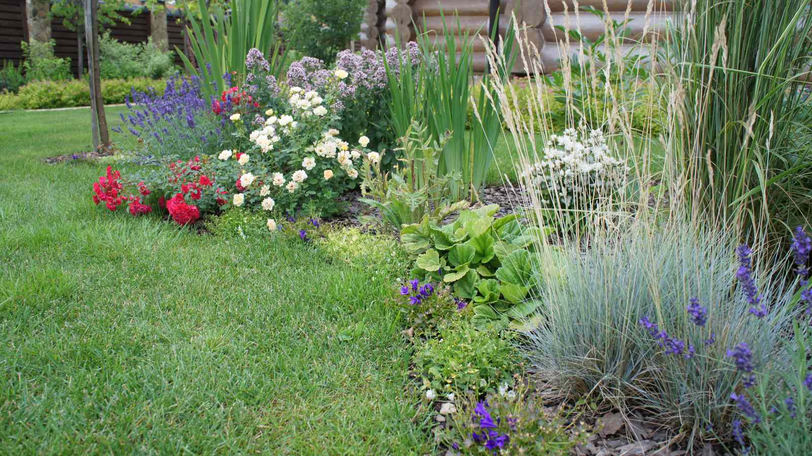 Прохорово лето 2017