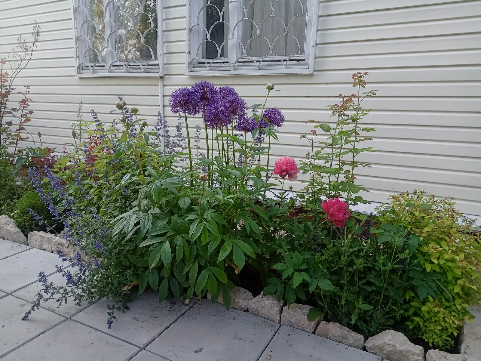 Долгое Ледово