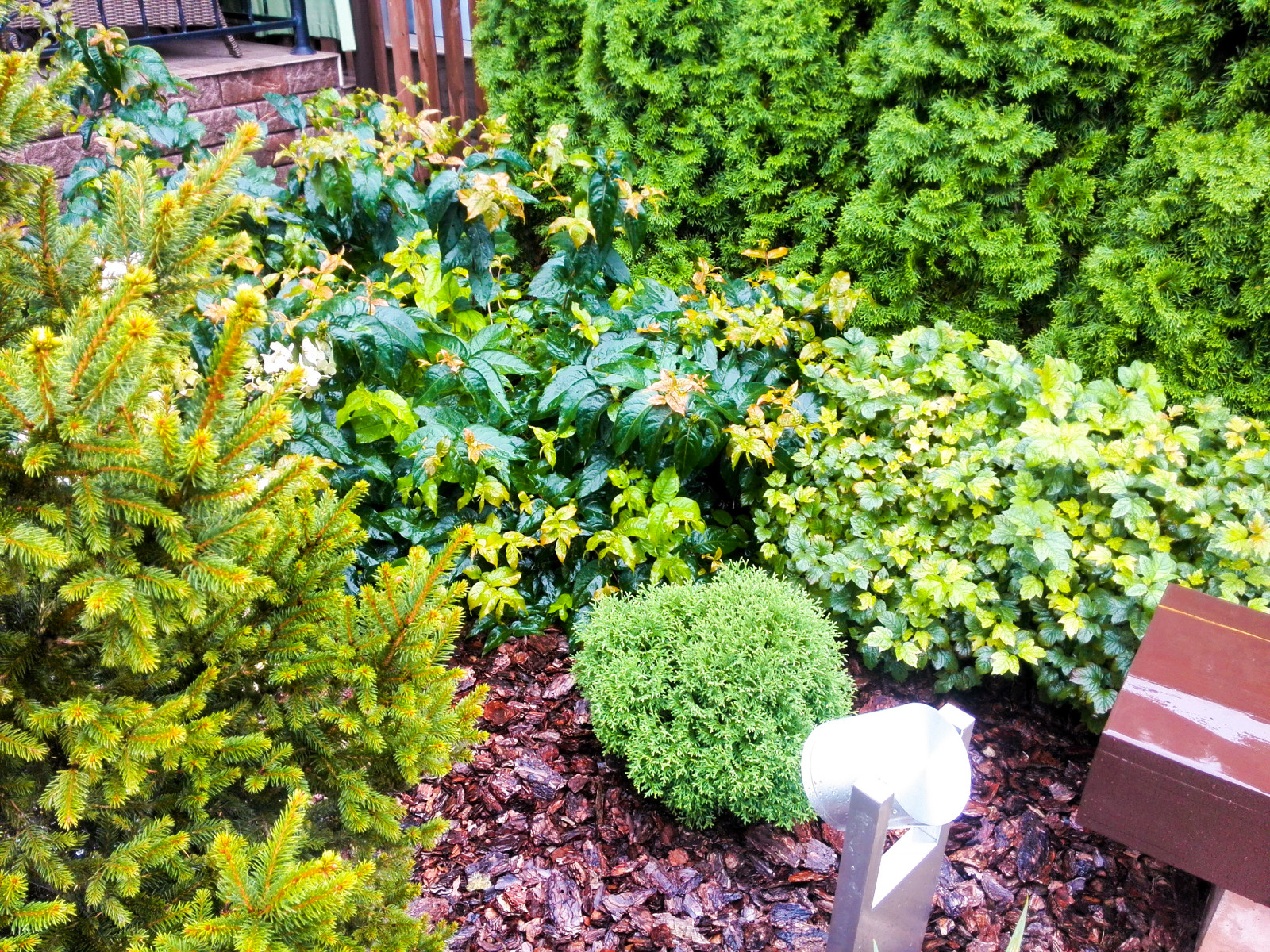 Павлово-2, 2015 г.