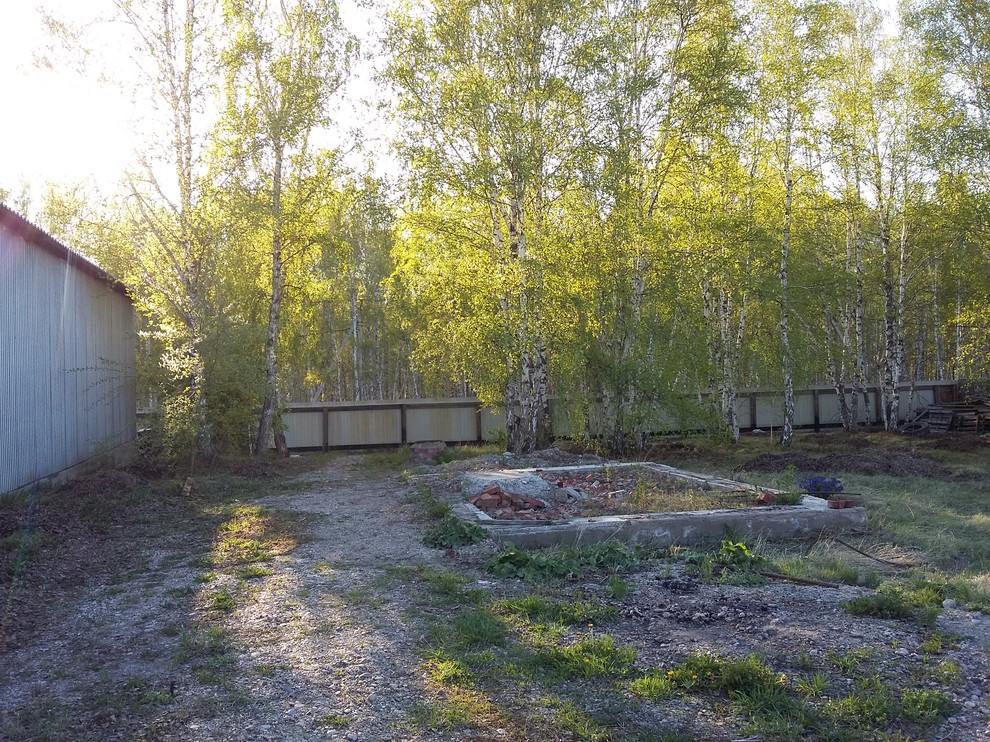 Белый ветер