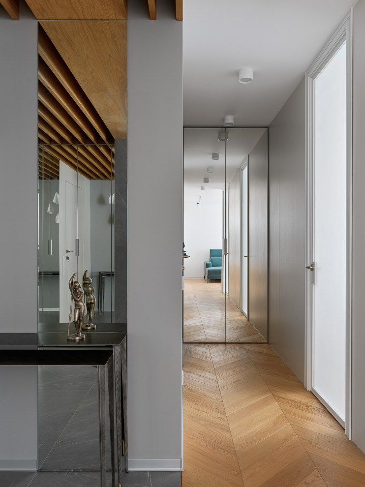 Проект Лебедь