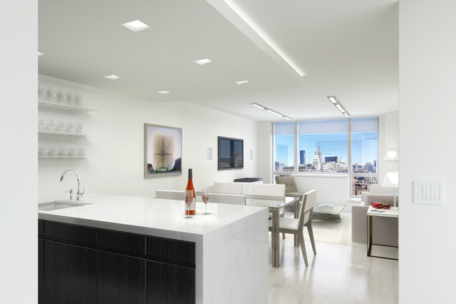 Irving Place Residence - Contemporary - Living Room - New York - by