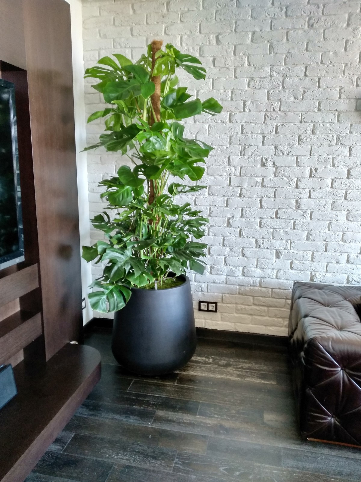 Частные аппартаменты