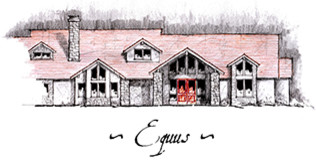 Equus rendering