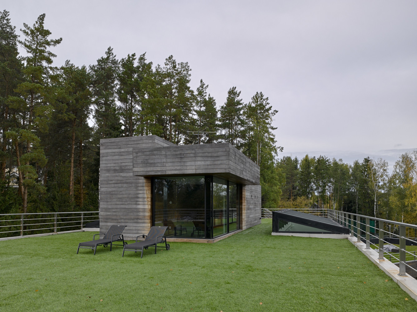 Дом в соснах у пруда