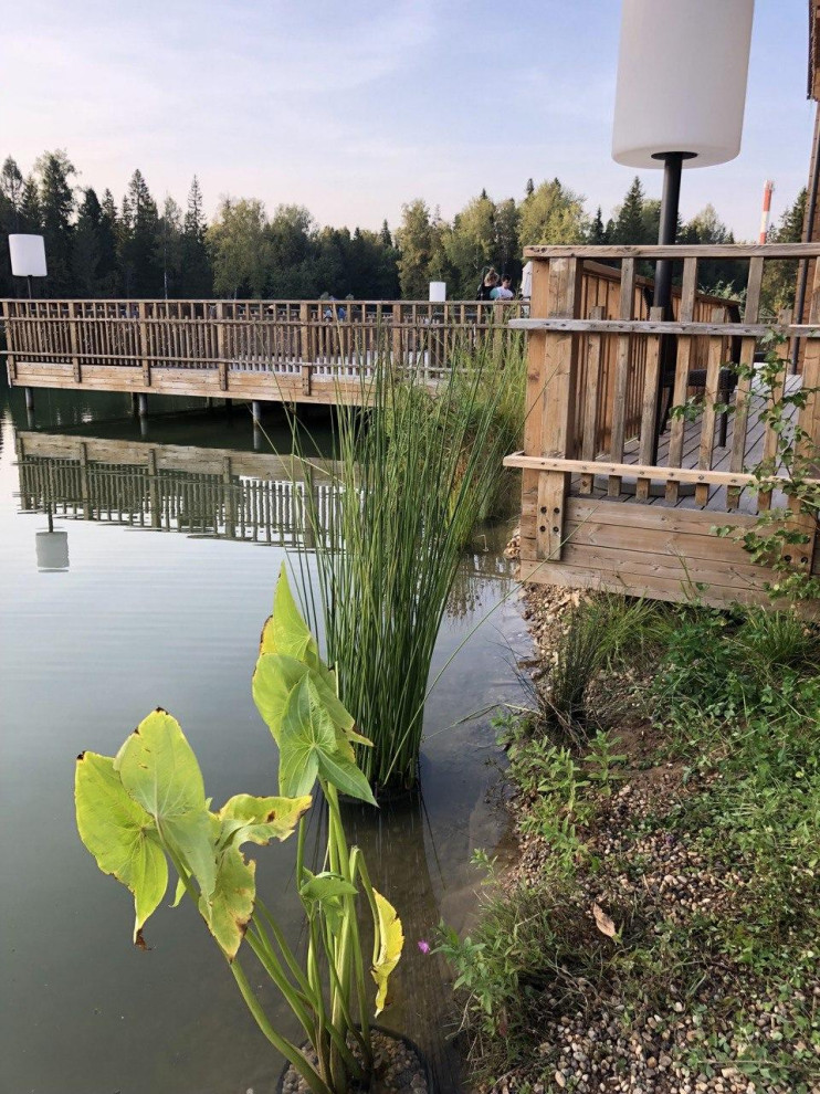 Изумрудный лес