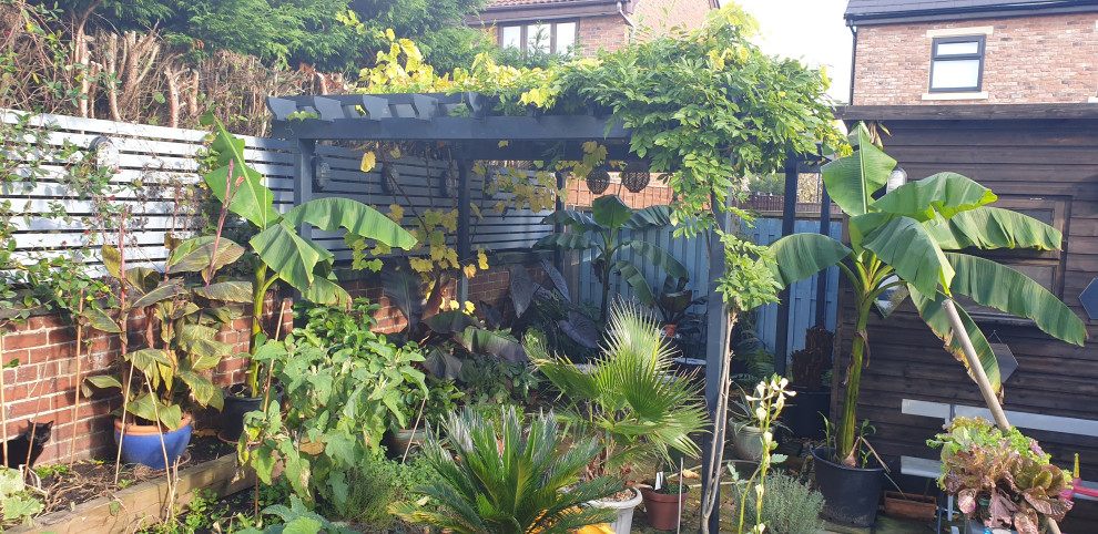 Стильный дизайн: маленький летний засухоустойчивый сад на заднем дворе в средиземноморском стиле с с перголой, полуденной тенью, мощением клинкерной брусчаткой и с деревянным забором для на участке и в саду - последний тренд