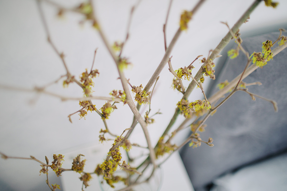 Просто изумрудно